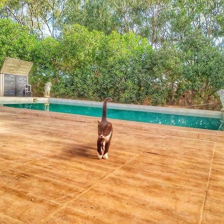 Granja America Διαμέρισμα Chiclana de la Frontera Εξωτερικό φωτογραφία