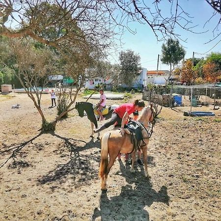 Granja America Διαμέρισμα Chiclana de la Frontera Εξωτερικό φωτογραφία