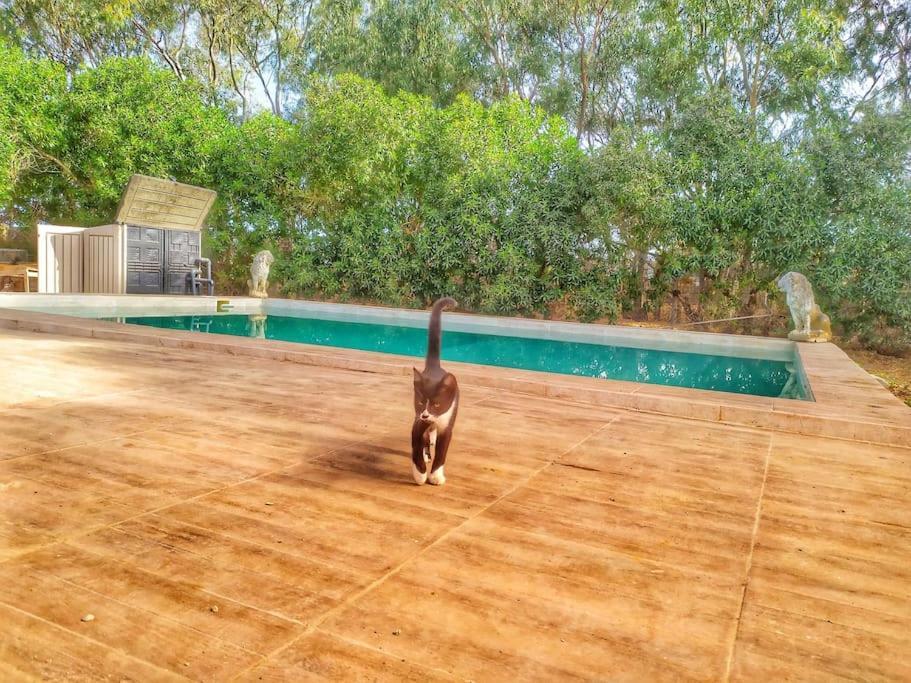 Granja America Διαμέρισμα Chiclana de la Frontera Εξωτερικό φωτογραφία