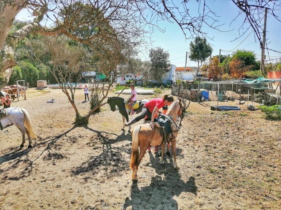 Granja America Διαμέρισμα Chiclana de la Frontera Εξωτερικό φωτογραφία