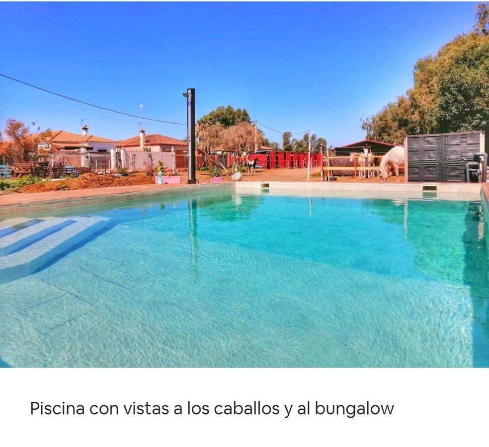 Granja America Διαμέρισμα Chiclana de la Frontera Εξωτερικό φωτογραφία